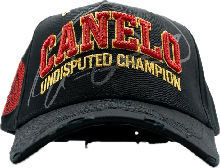 UNDISPUTED