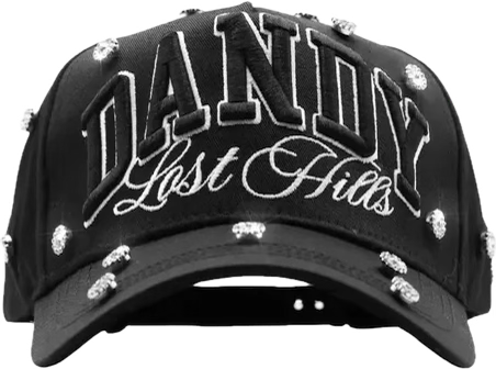DANDY LOST HILS